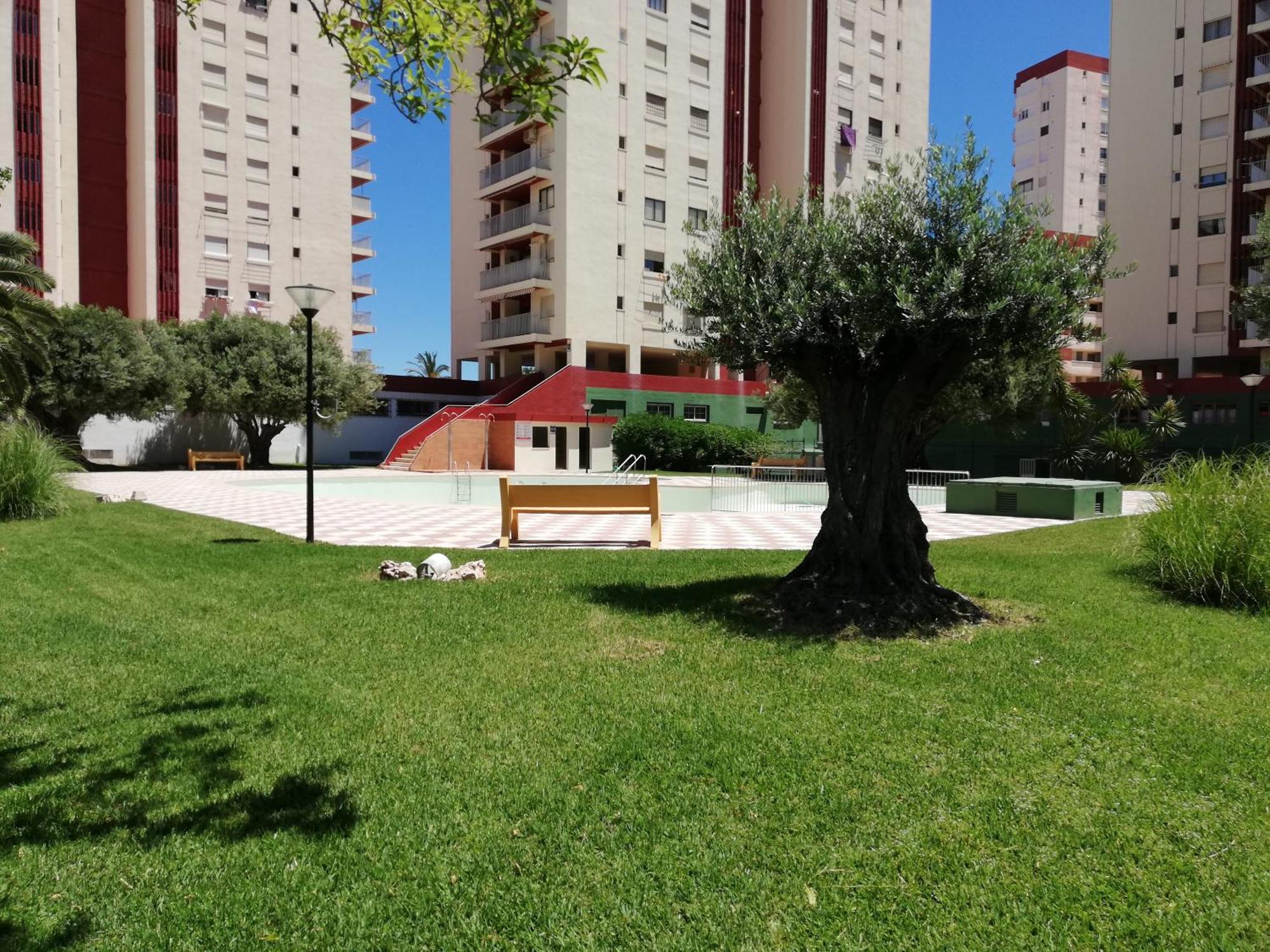 Danio Solo Familia Serviplaya Playa de Gandia المظهر الخارجي الصورة